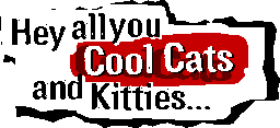 cool cats!